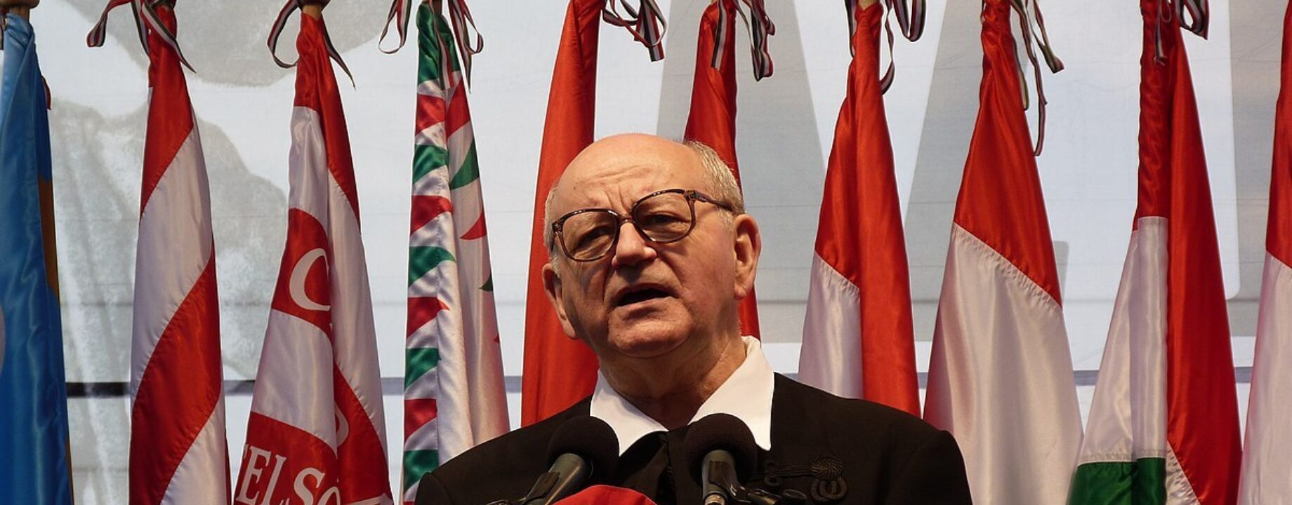 Popély Gyula történész Március 15 e tér 2015 03 15 1