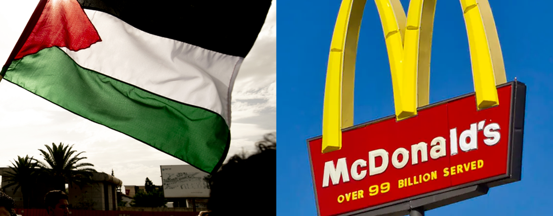 Mcdonalds and palestine