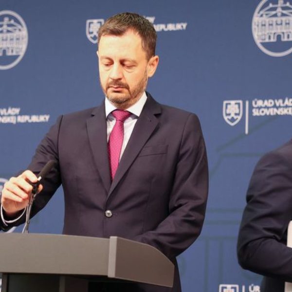 matovic heger fasírban