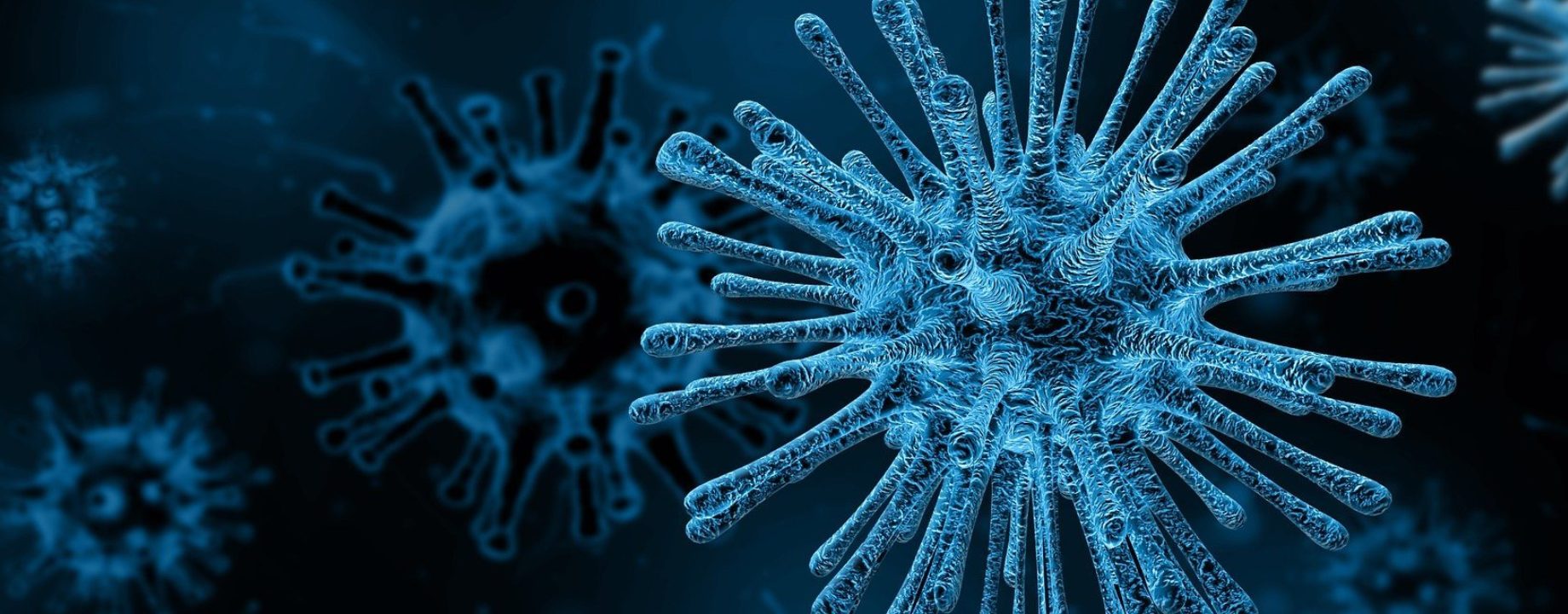 Virus 4030721 1920