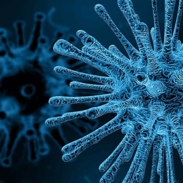 Virus 4030721 1920