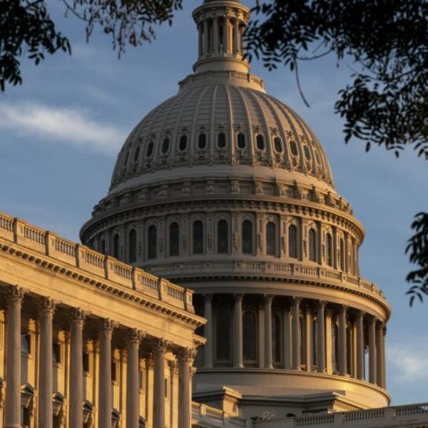 Usa senat