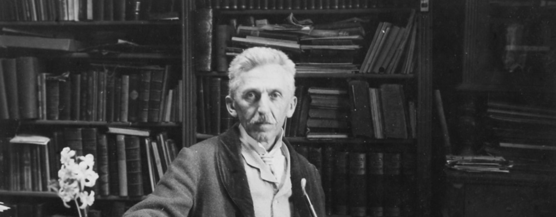 Geza gardonyi
