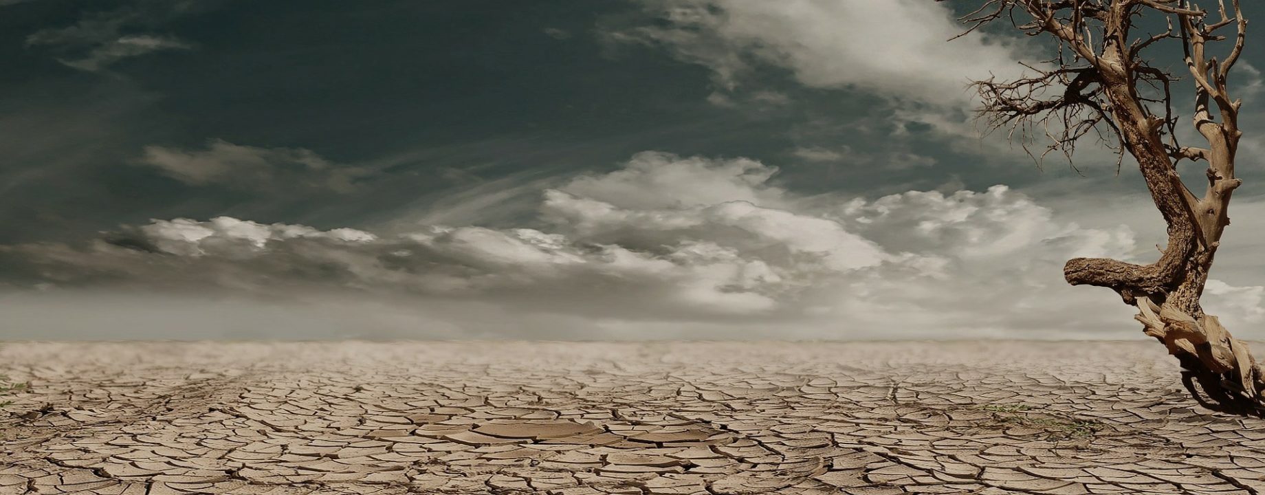 sivatag szárazság aszály pixabay