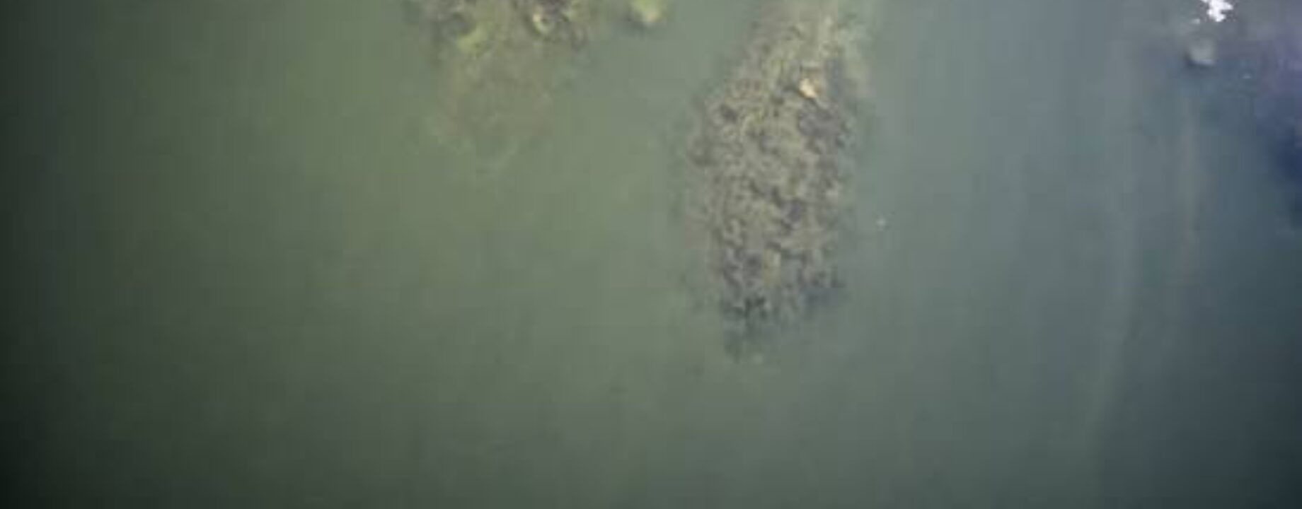 Images 24