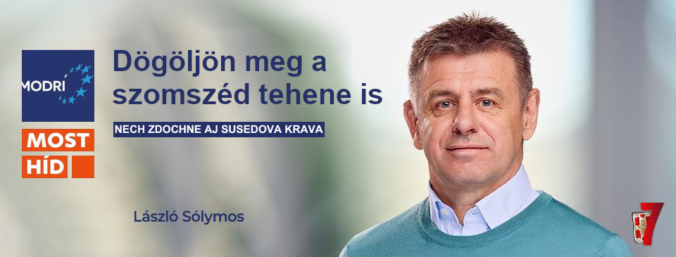 Solymos szomszed tehene