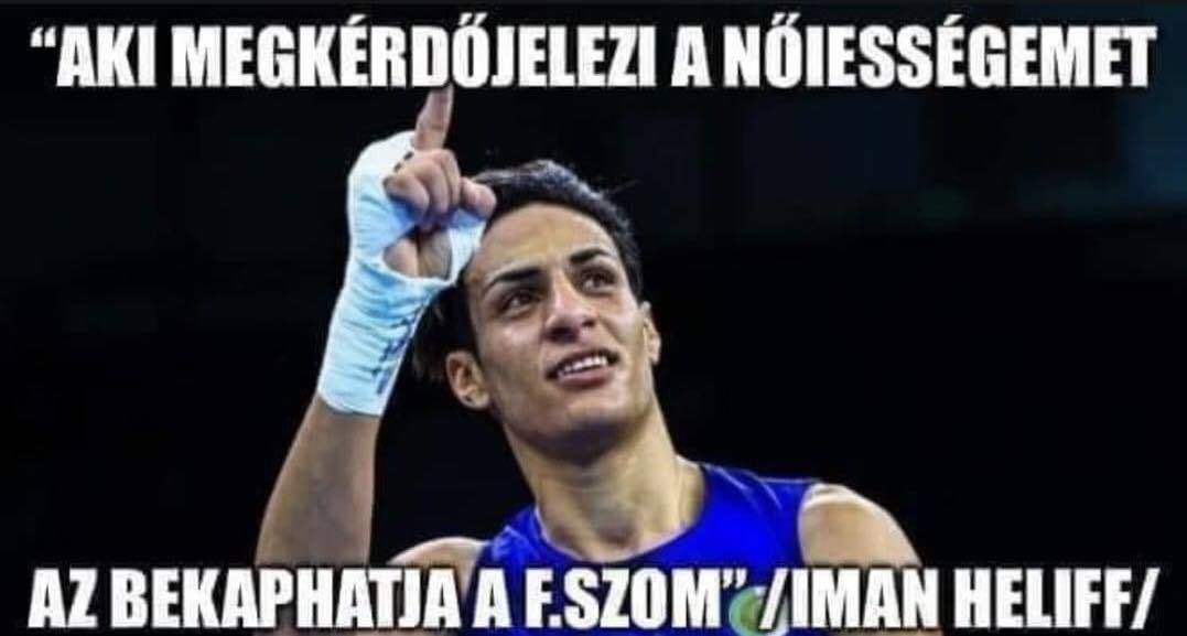 Libsi vicc