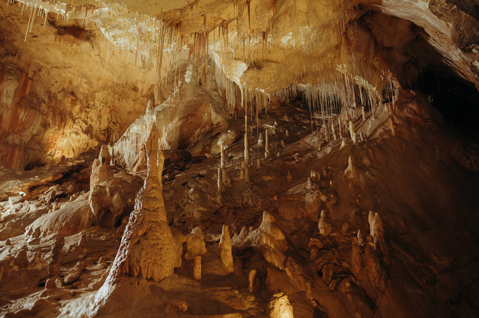 Kép forrása tripfactory sk