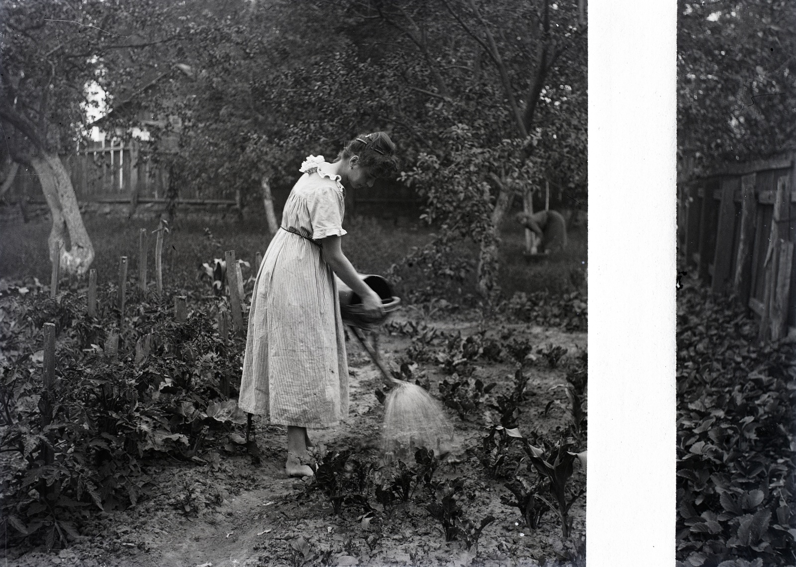 Kertápolás 1915 ben Kép forrása Fortepan