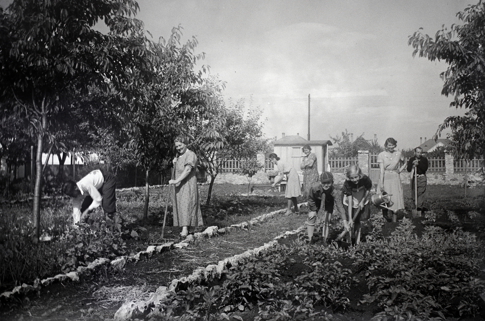 Kertészedés 1935 ben Kép forrása Fortepan