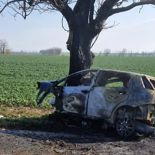 1775129080 policia hlada svedkov tragickej nehody pri dolnej krupej po naraze do stromu vozidlo vzplanulo vodic v nom zahynul