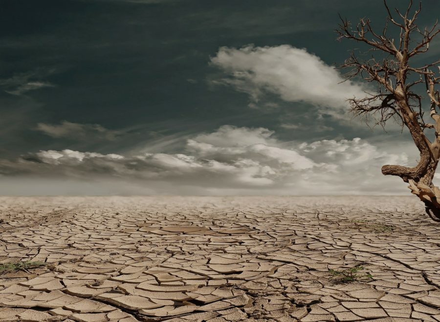 sivatag szárazság aszály pixabay