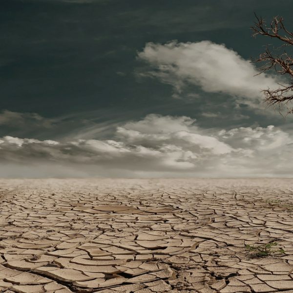 sivatag szárazság aszály pixabay