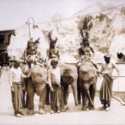 Human Zoos Wikipedia org