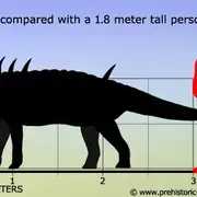 Kép forrása Prehistoric Wildlife
