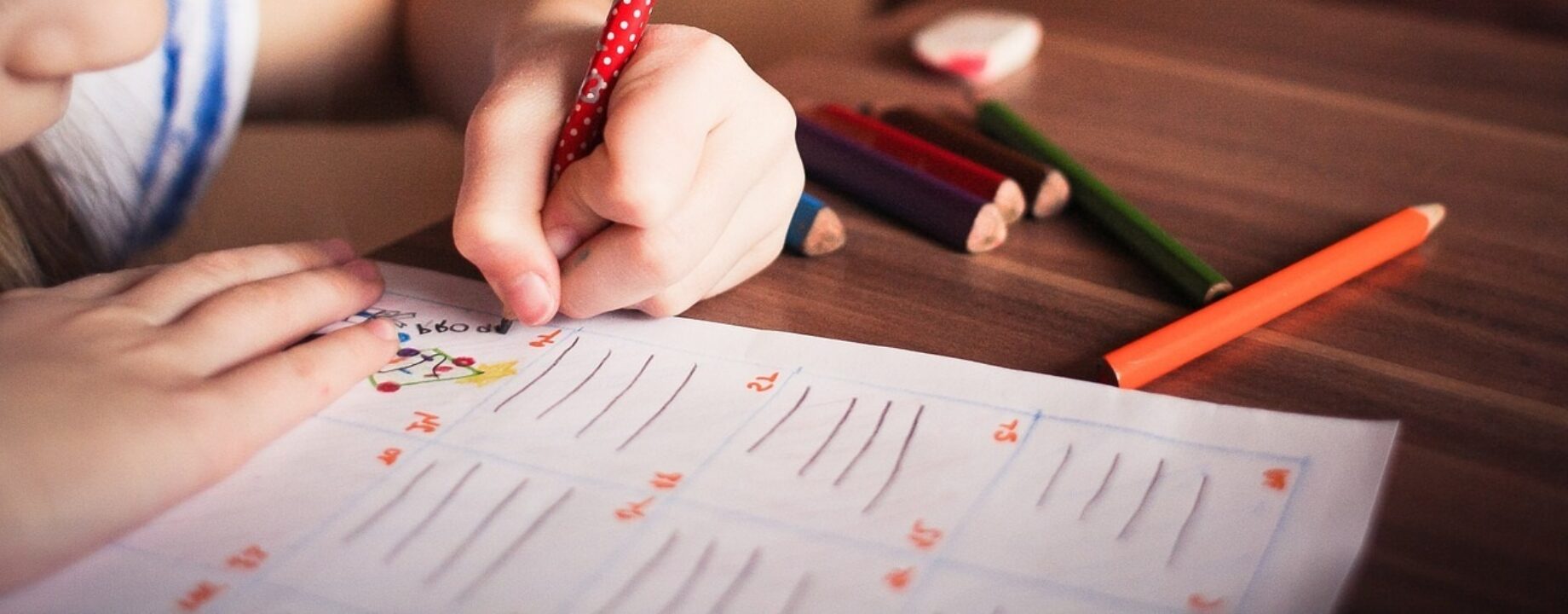 Képforrása neteducatio