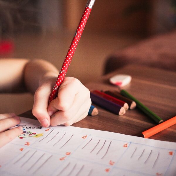 Képforrása neteducatio