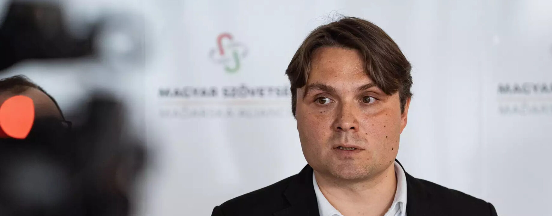 Gubik laszlo dsc00466 2413