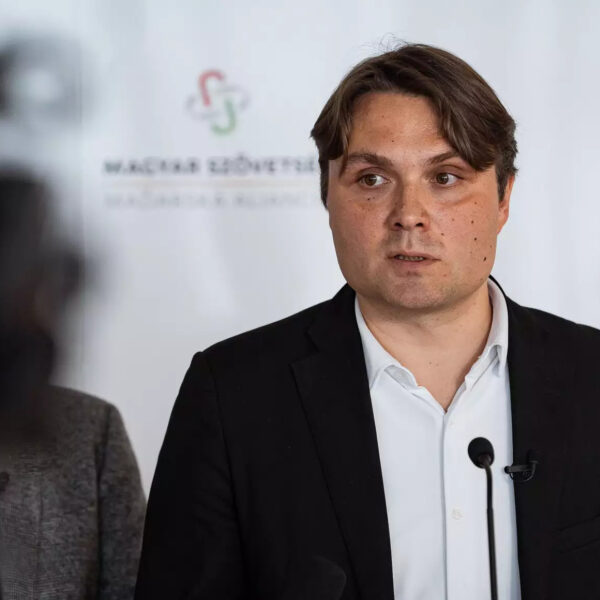 Gubik laszlo dsc00466 2413