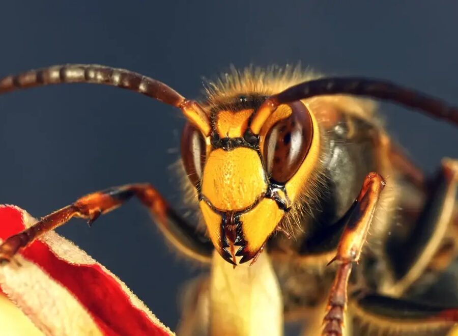 Shutterstock 323109389 jpg