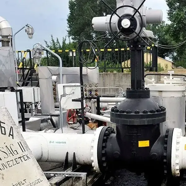 8065ba06e343417da4b9fc6ffb03f245