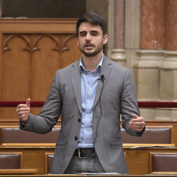 D SOS20231127002 fit 800x10000