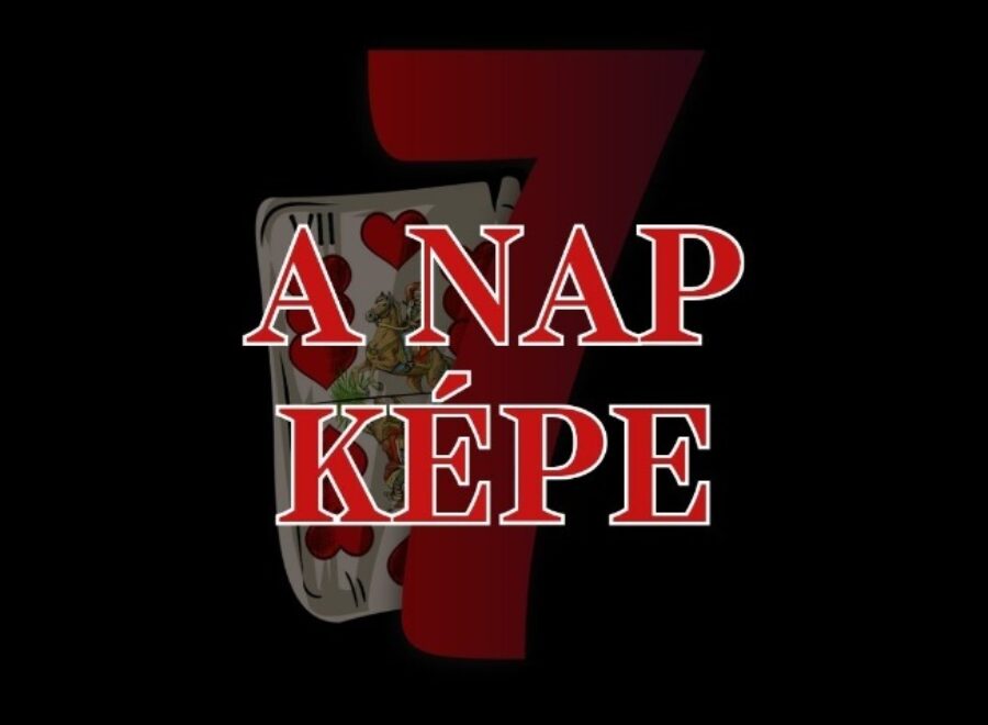 Kép