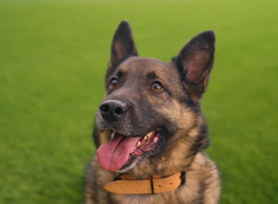 Screenshot 2025 09 23 11 27 52 507 com google android youtube edit