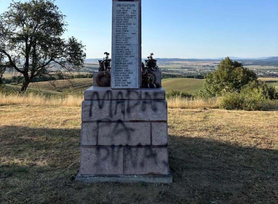 775260279 122172723476408288 7045411947825003753 n