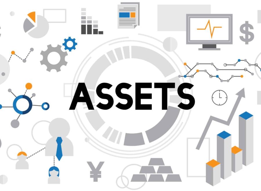 Assets meaning 2