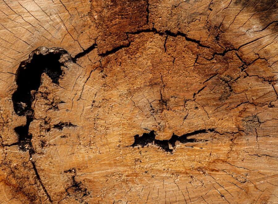 NYITÓKÉP collab media unsplash