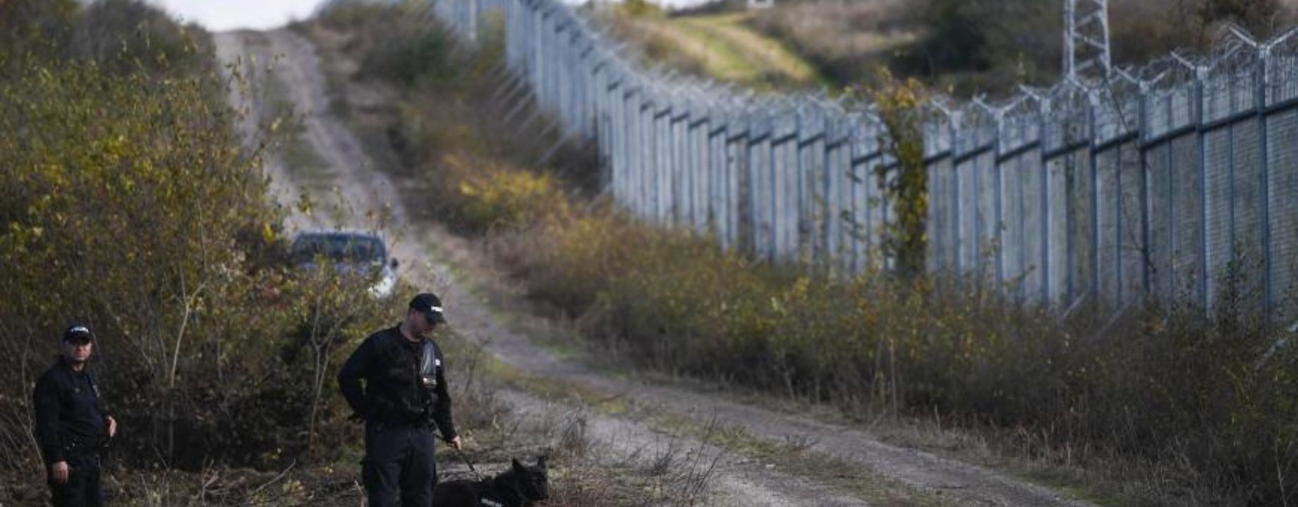 Nikolay Doychinov AFP bolgár határ