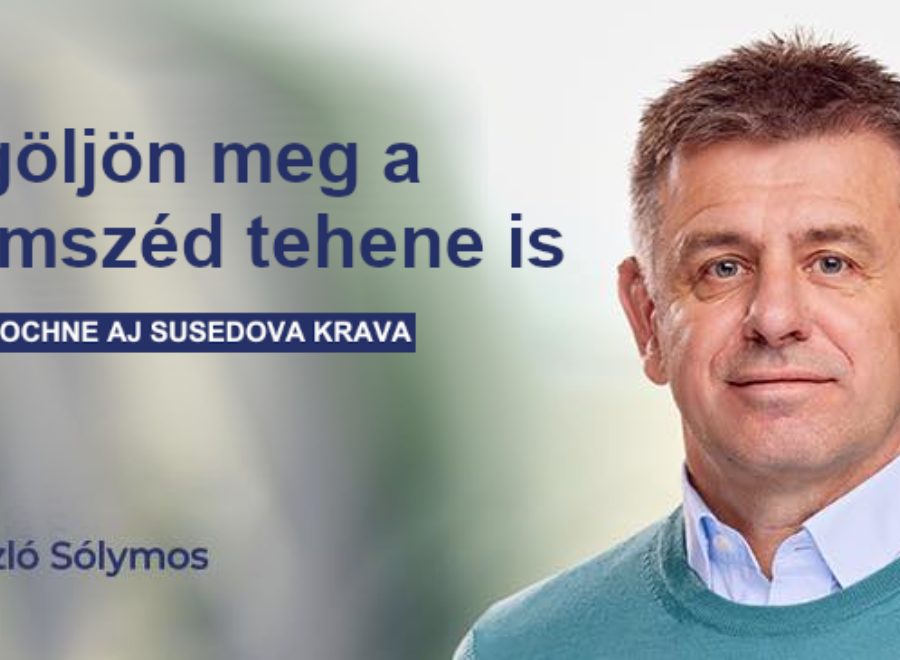 Solymos szomszed tehene