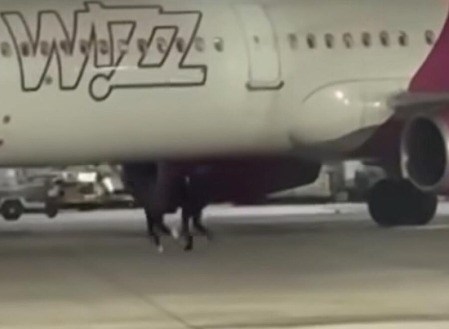 Inbound2610103395833878877