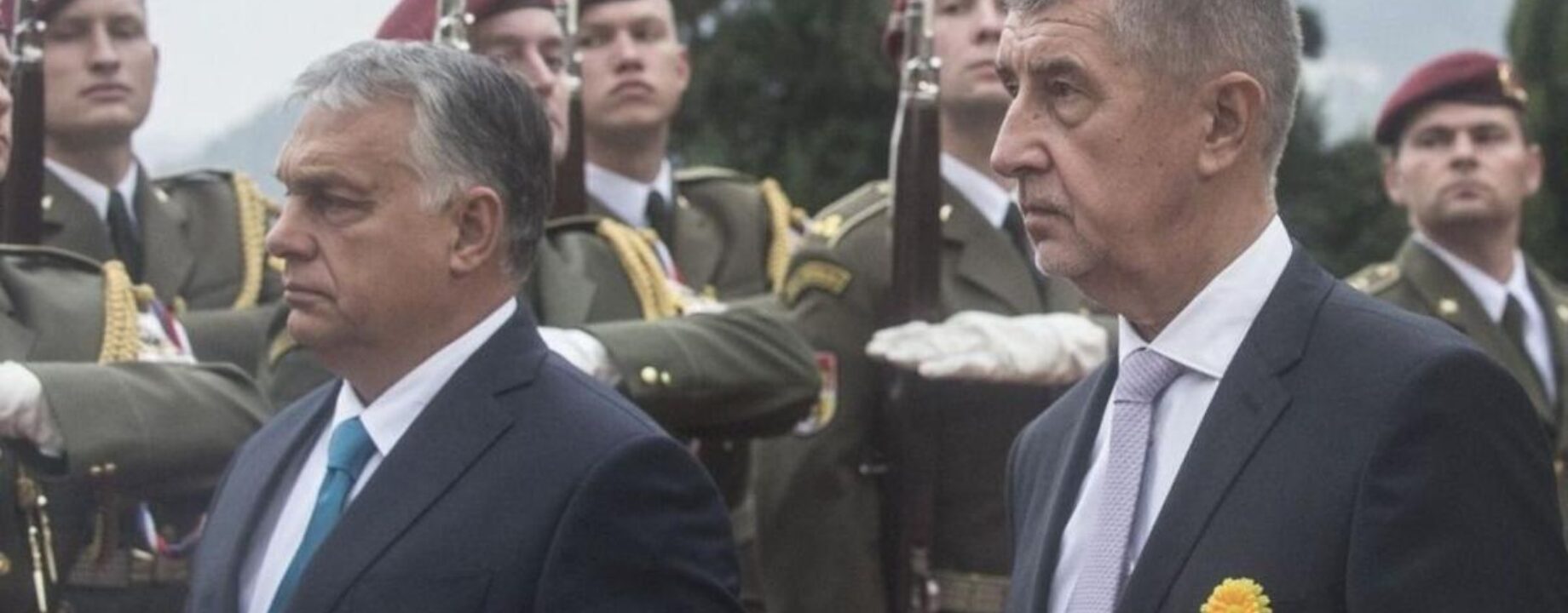 Babis orban 1775899934