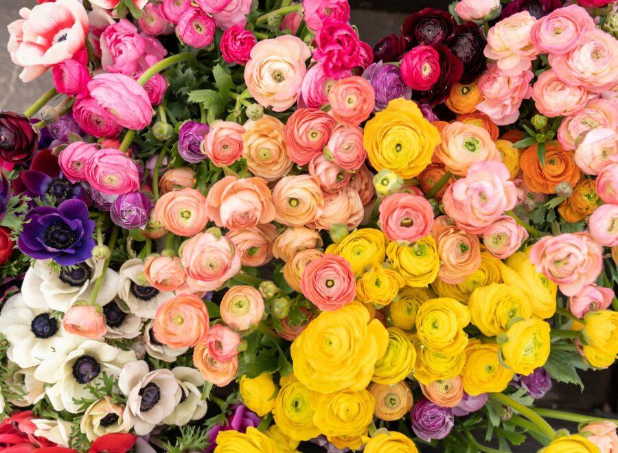 Zoe richardson unsplash