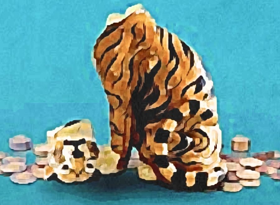 Storage emulated 0 Pictures comica comica1692205624273