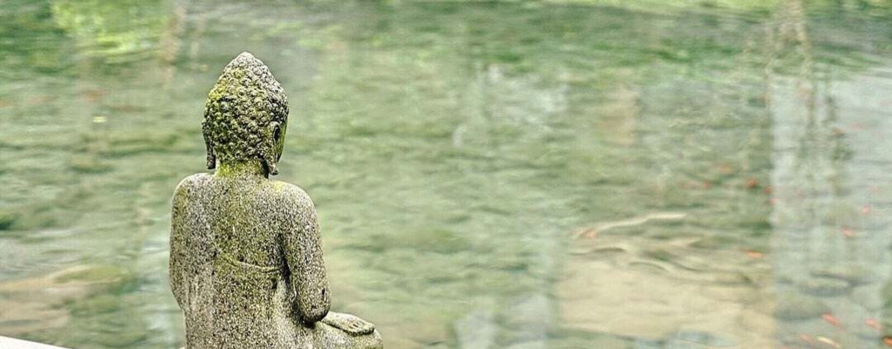 CBAB95 What is Z E N Buddhism1