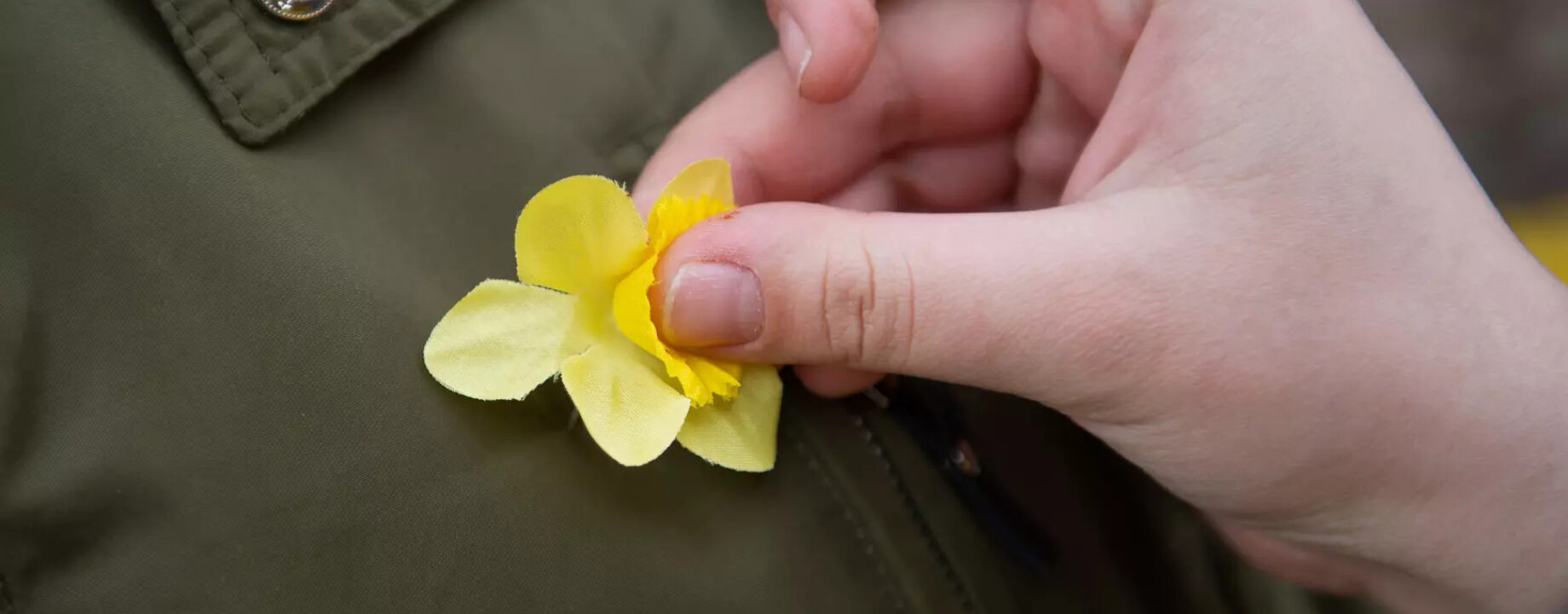 2019 04 11 narciszok napja01 jpg