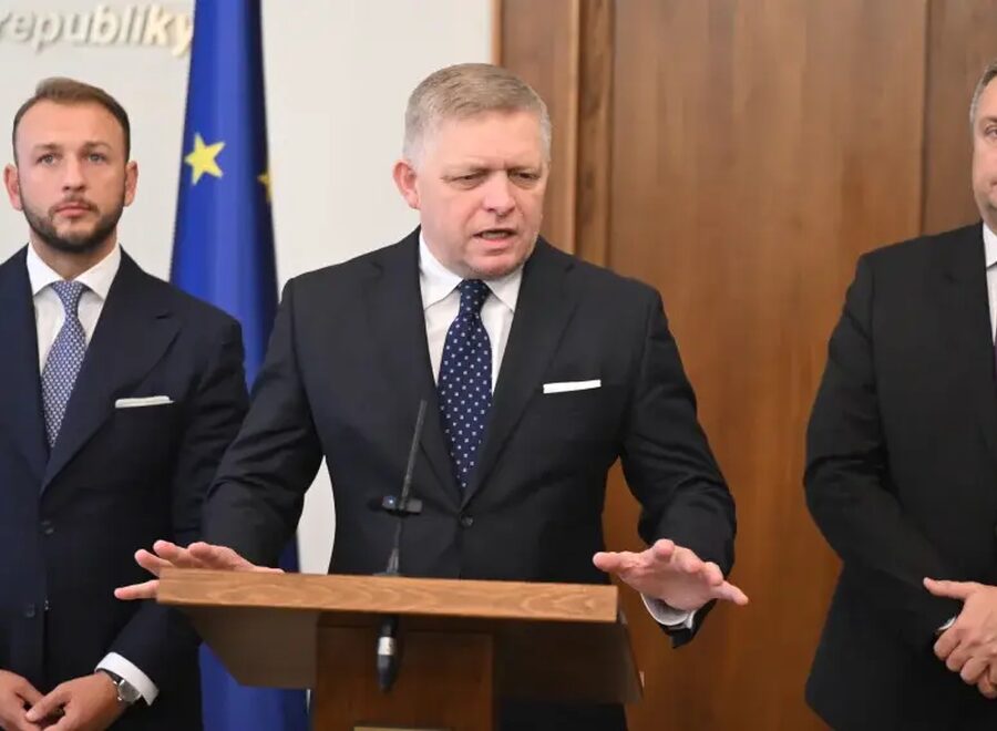 Titl fico estok danko