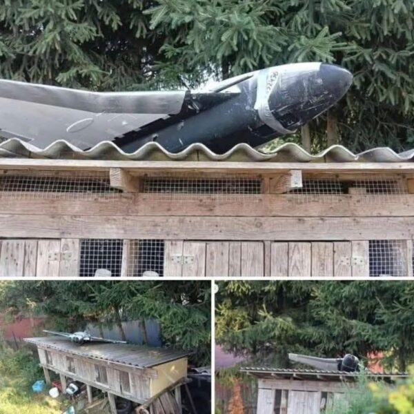 FB IMG 1758050641764