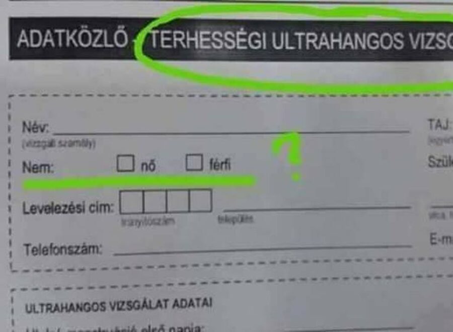 Terhességi ultrahangos vizsgálat
