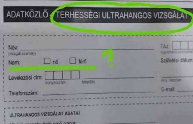 Terhességi ultrahangos vizsgálat