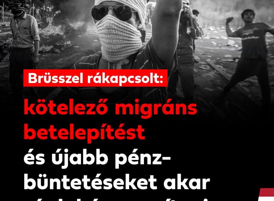 FB IMG 1762978905223