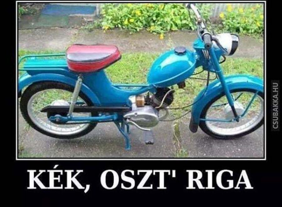 Osztriga