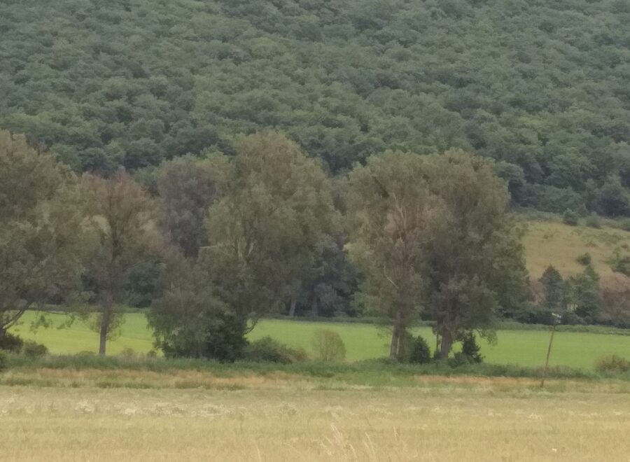 Nagyhegy