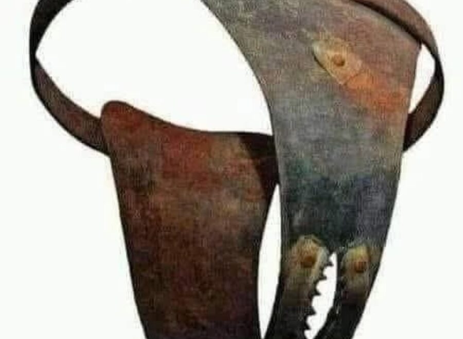 SAVE 20251112 094343