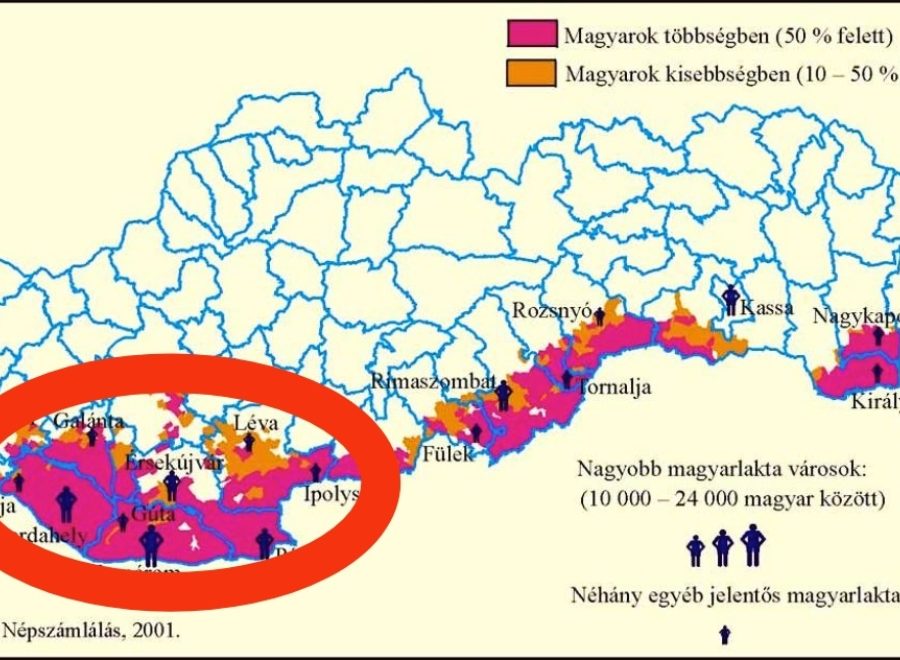 IMG 20230616 142829
