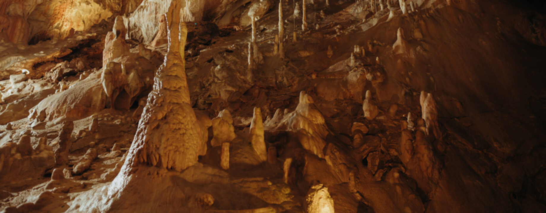 Kép forrása tripfactory sk