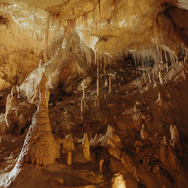 Kép forrása tripfactory sk